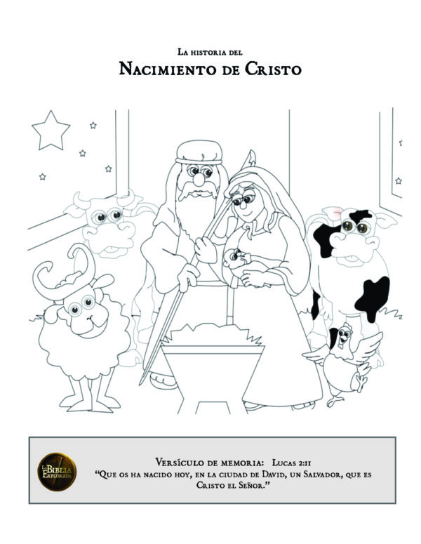 Bible Explored Curriculum – NT Stories (SPANISH) - Image 5